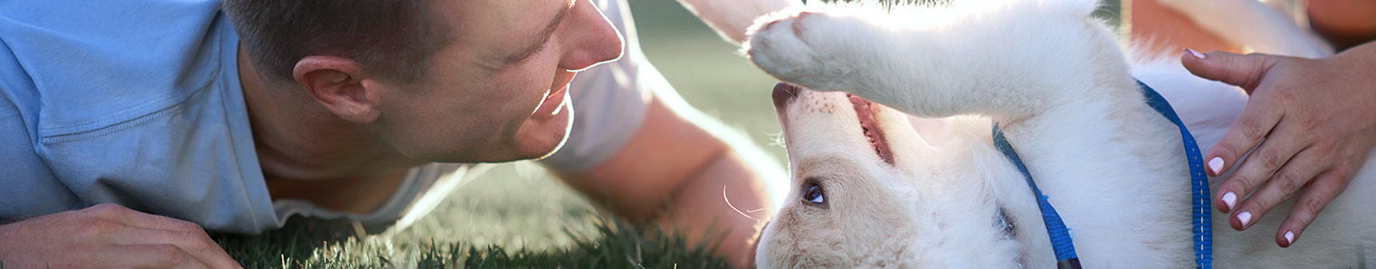 puppy playing