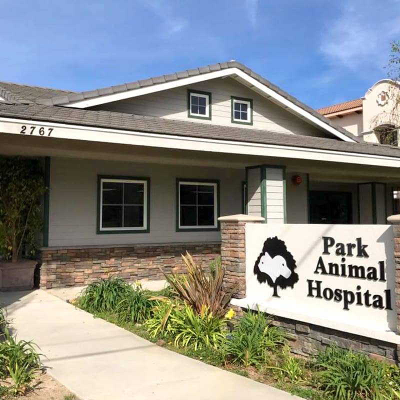 Park Animal Hospital in Simi Valley