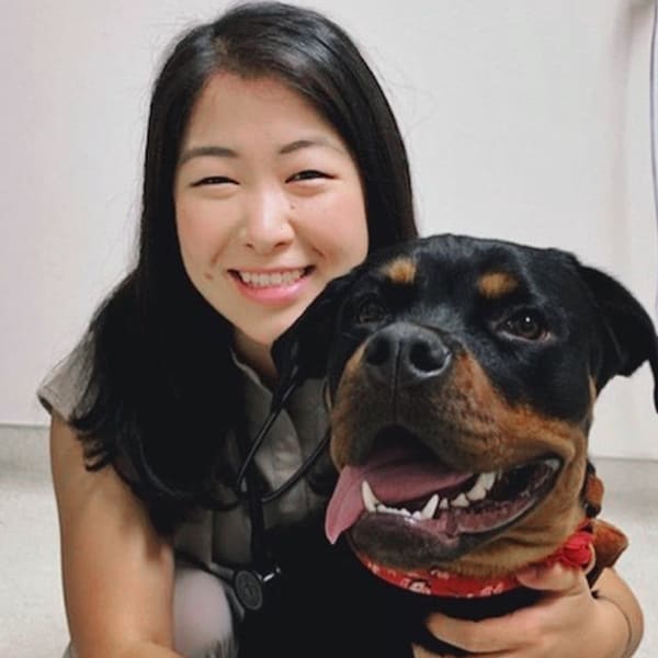 Dr. Chloe Park, Simi Valley Associate Veterinarian & Medical Director