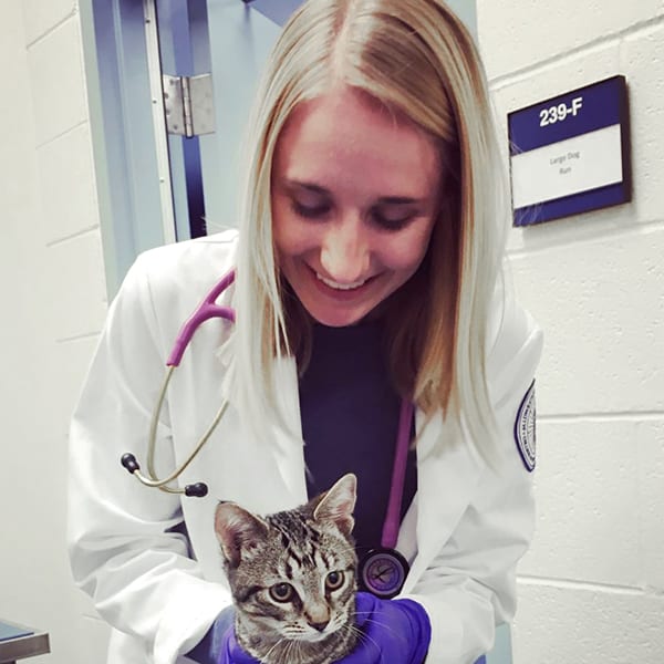 Meet Dr. Katherine Gerster, Simi Valley Veterinarian